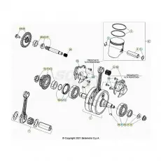 Angebot Beta Xtrainer300 22 Kurbelwelle/Kolben/Ausgleichswelle