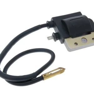 Zündspule schwarz 6V für Piaggio Ciao Bravo Si Boxer Top-Seller