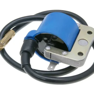 Zündspule blau 6V für Piaggio Ciao Bravo Si Boxer Zertifiziert