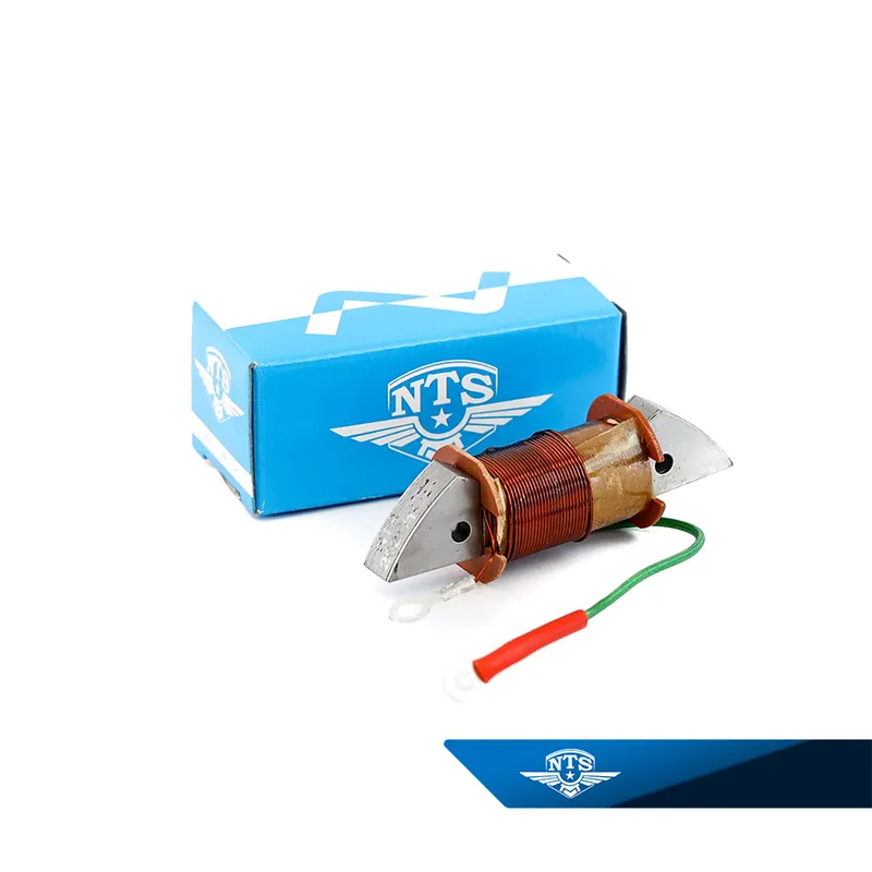 Geprüft Zündspule Zuführspule NTS für Piaggio Ciao Bravo Si Boxer Citta HQ Qualität