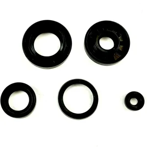 Sofort Bestellen NSU Quickly S N L Motor 5 x Wellendichtringe SET Simmerringe 2 Gang 3 Gang