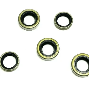 ILO G 50 Piano Wellendichtringe komplett 5tlg. Motor Dichtung Simmerring Neue Ware