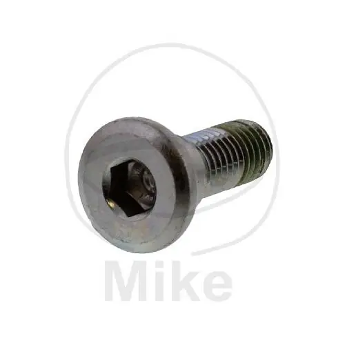 Expressversand Tornillo M8x1,25x24 para Honda 90 100 125 150 250 500 600 650 750 900 1000 1100 1300