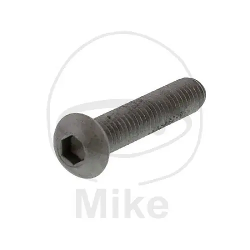 Tornillo M6x1,25x30 para Gilera Piaggio Vespa Jetzt Bestellen