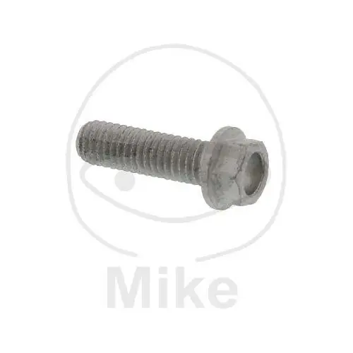 Vite M6x1x20 per KTM 125 200 250 300 350 360 380 400 500 540 620 640 660 Meistverkauft