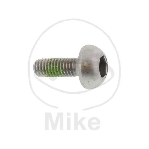 Tornillo M6x1x17 para Honda 80 125 200 250 350 360 400 500 600 750 900 1300 SYM 50 Gratis Versand