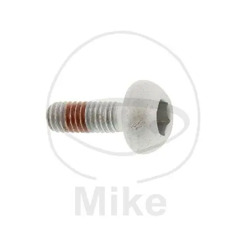Tornillo M6x1x17 para Honda CB 1100 CBR 1000 GL 1800 VFR 1200 Meistverkauft