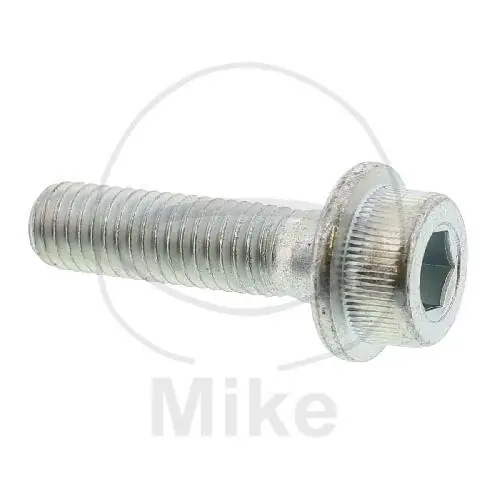 Vite M8x1,25x30 per Suzuki GS 500 GSF 400 GSX 600 750 RG 250 500 Sonderaktion