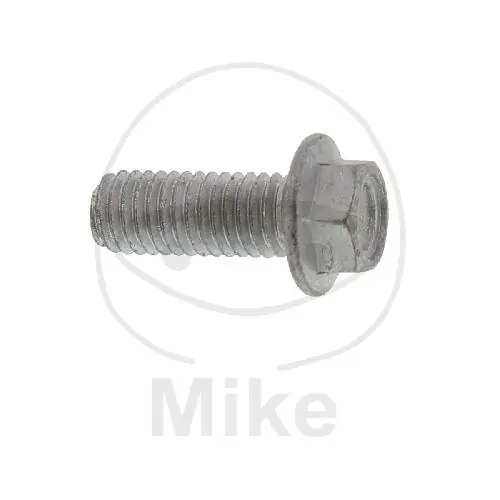 Neu Screw M8x1.25x22 for BMW R 1200 05-11
