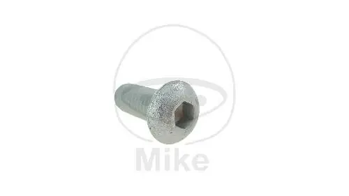 Nur Für Kurze Zeit Screw M8x1.25x20 for Moto Guzzi 650 750 850 1000 1100