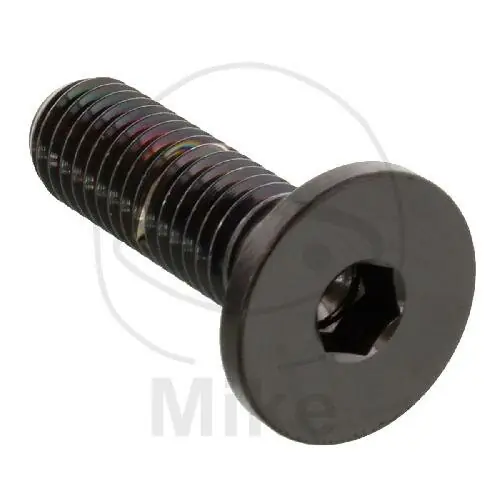 Tornillo M8x1,25x26 para BMW F 750 800 850 K 1300 1600 R 1200 1250 S 1000 Zertifiziert
