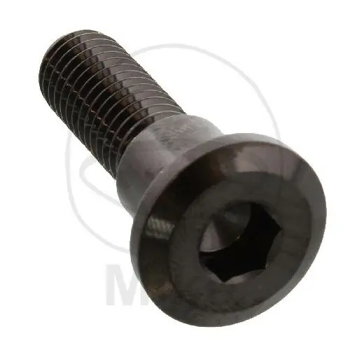 Kostenfreie Lieferung Tornillo M8x1,25x30 para Triumph 600 650 660 675 750 765 800 865 900 955 1000 1050 1200 1215 1600 1700 2300