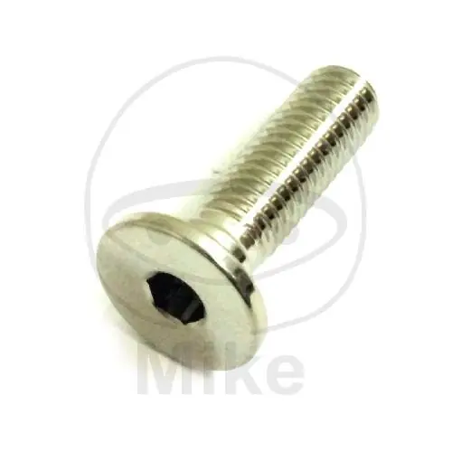 Vite M8x1.25x26 per BMW F 750 800 850 K 1300 1600 R 1200 1250 S 1000 Sofort Bestellen