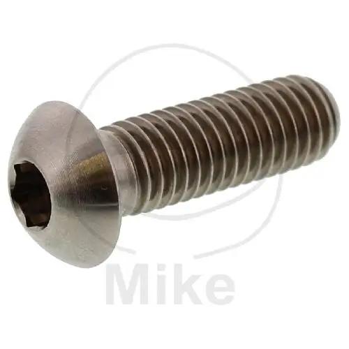 Vite M8x1,25x25 per BMW C1 125 200 F 800 K 100 1100 1200 K1 1000 R 850 1100 1150 1200 Mega-Angebot