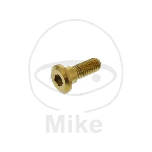 Tornillo M8x1,25x24 para Honda 110 125 150 250 300 400 420 450 500 550 600 650 680 700 750 900 1000 1100 1300 Zertifiziert