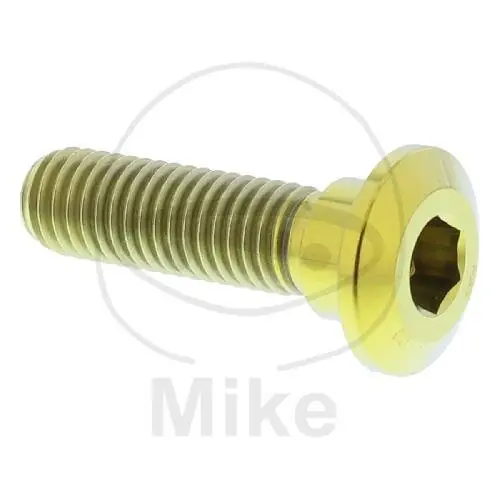 Vite M8x1,25x30 per Kawasaki 50 80 125 250 300 305 400 440 450 500 550 600 636 650 700 750 800 900 1000 1100 1200 1400 1500 1600 1700 2000 Mega-Angebot