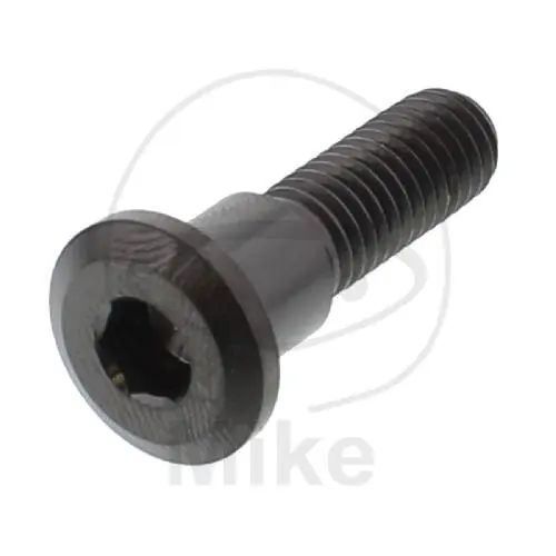 Jetzt Bestellen Tornillo M8x1,25x30 para Triumph 600 650 660 675 750 765 800 865 900 955 1050 1200 1215 1600 1700 2300