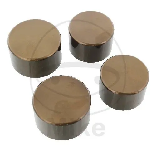 Nur Heute Brake caliper piston set for BMW R 1200 NineT