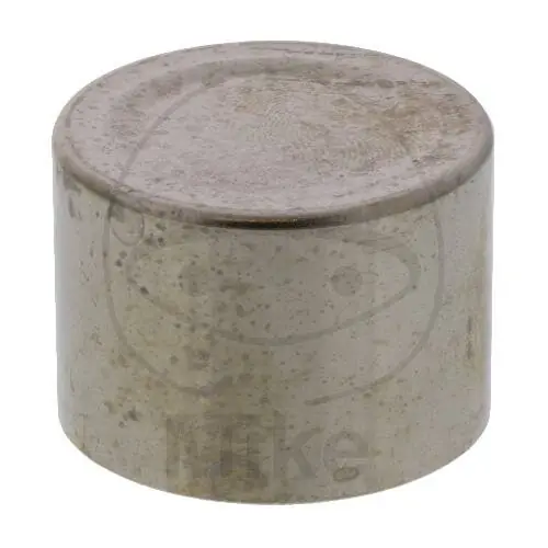 Sonderaktion Piston d'étrier pour Yamaha FJ 1200 FZ 750 TDM 850 XVZ 1300