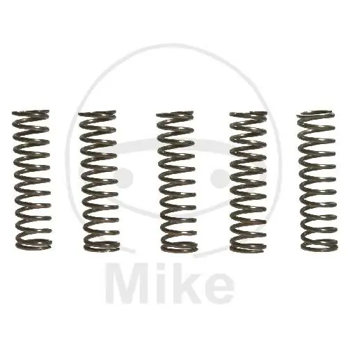 Aktuell Kupplungsfedern verstärkt für Kawasaki ZX-12R 1200 ZX-9R 900 Ninja 1998-2006