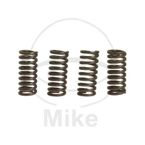 Top-Preis Resortes de embrague reforzados para Yamaha SR 125 TDR 250 TW 125 TZR 250 XT 125