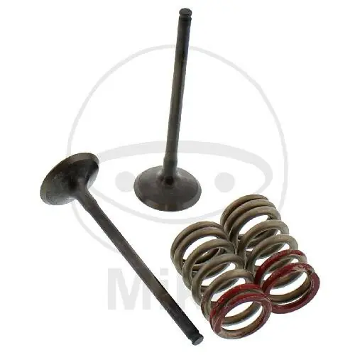 Ventil Satz Auslass + Federn für Kawasaki KX 250 F 4T Suzuki RM-Z 250 Nur Heute