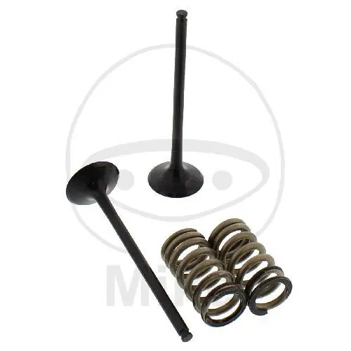 Valve set exhaust + springs for KTM EXC-F 250 4T SX-F 250 ie4T Begrenztes Angebot