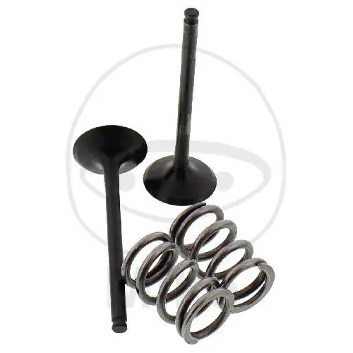 Beliebt Kit valvola di scarico + molla per Suzuki LT-R 450 Quadracer