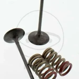 Abverkauf Valve set intake + springs for Kawasaki KX 250 F 4T Suzuki RM-Z 250
