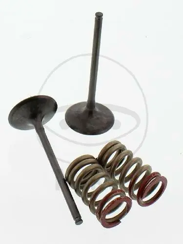 Zertifiziert Kit valvola di aspirazione + molla per Kawasaki KX 250 F 4T Suzuki RM-Z 250