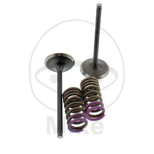 Válvula juego admisión + muelles para Honda CRF 250 R CRF 250 X Highlight