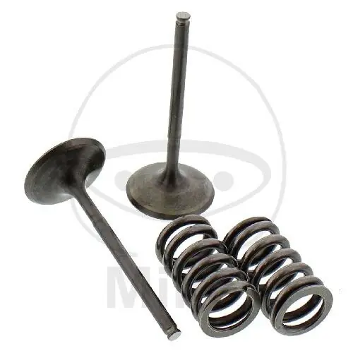 Válvula juego admisión + muelles para Honda CRF 450 R TRX 450 ER TRX 450 R Sportrax Versand Am Gleichen Tag