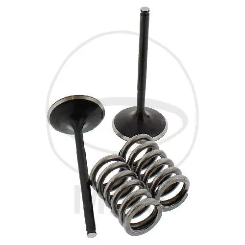 Válvula juego admisión + muelles para Honda CRF 450 X Schnäppchen