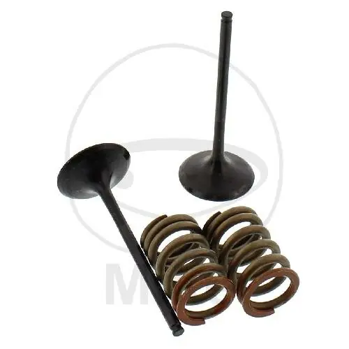 Ventil Satz Einlass + Federn für Kawasaki KX 250 F 4T Online Kaufen