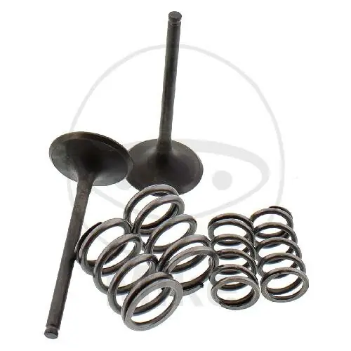 Válvula juego admisión + muelles para Kawasaki KX 450 F Bestseller