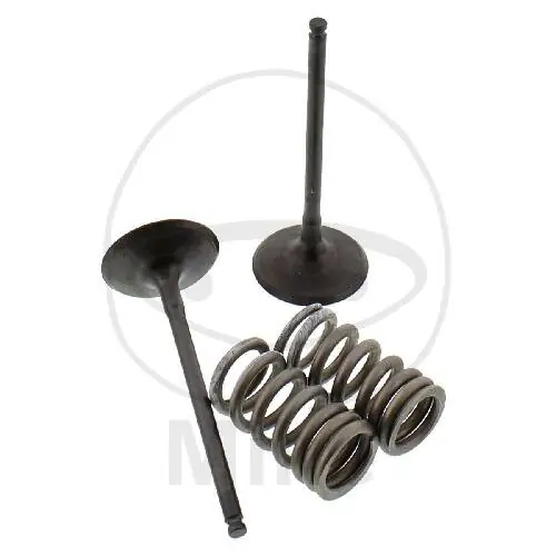 Válvula juego admisión + muelles para Suzuki RM-Z 250 Billig