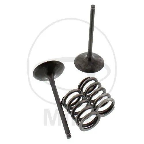 Válvula juego admisión + muelles para Suzuki RM-Z 450 Versand Am Gleichen Tag
