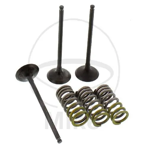 Ventil Satz Einlass + Federn für Yamaha SR 250 SP SE WR 250 F XT 250 YZ 250 F Must-Have