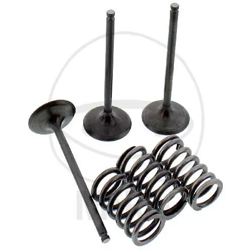 Válvula juego admisión + muelles para Gas Gas EC 450 F 4T Racing Yamaha WR 450 F Super-Preis